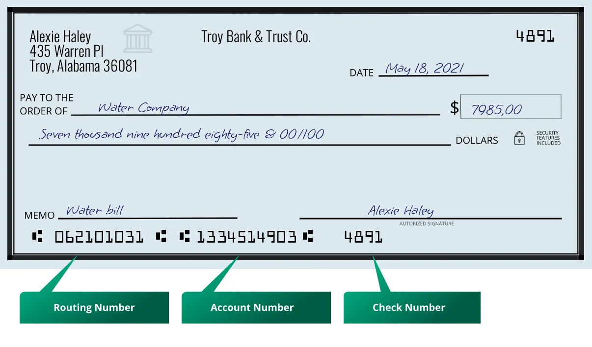 062101031 routing number Troy Bank & Trust Co. Troy