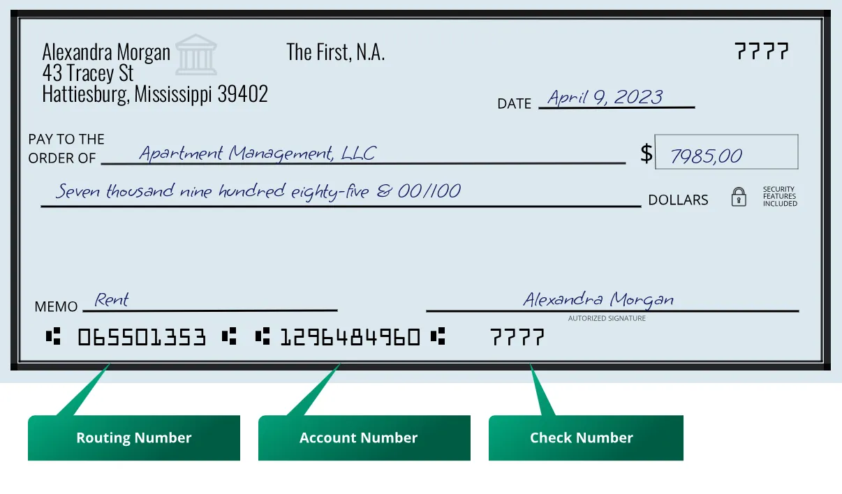 065501353 routing number The First, N.a. Hattiesburg