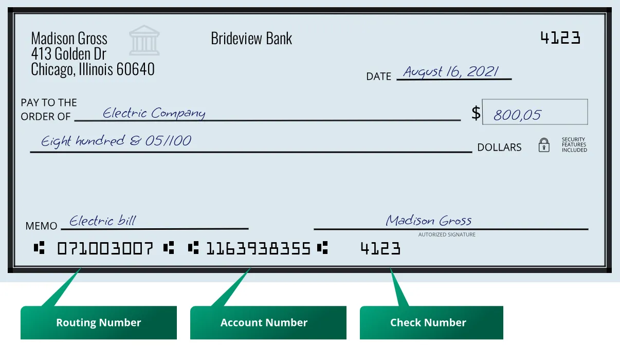 071003007 routing number Brideview Bank Chicago