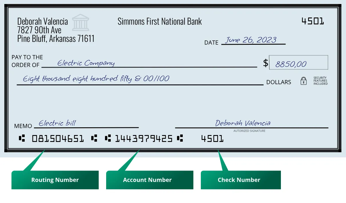 081504651 routing number Simmons First National Bank Pine Bluff