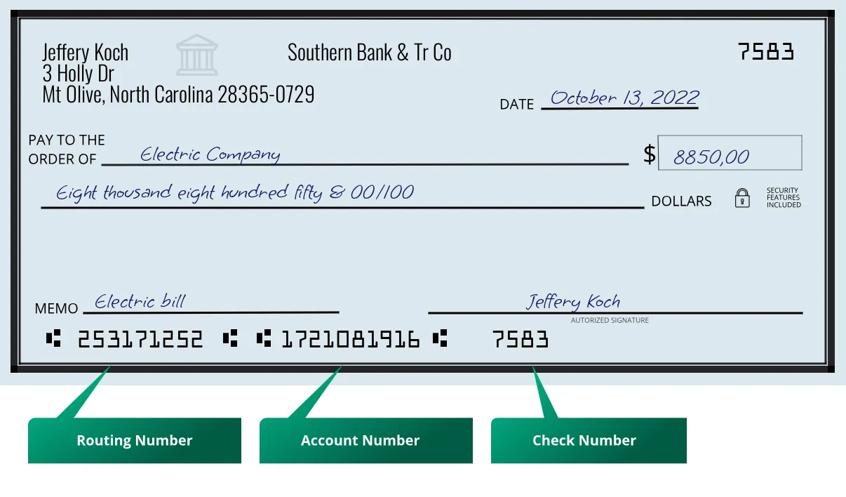 253171252 routing number Southern Bank & Tr Co Mt Olive