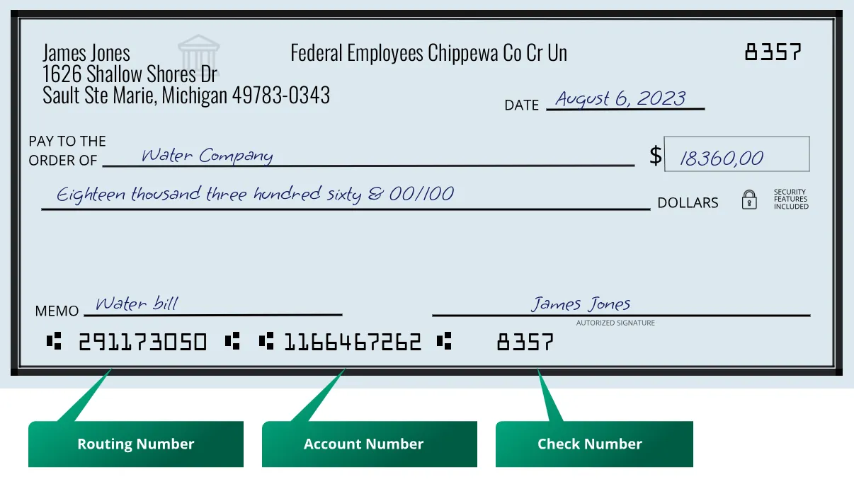 291173050 routing number Federal Employees Chippewa Co Cr Un Sault Ste Marie