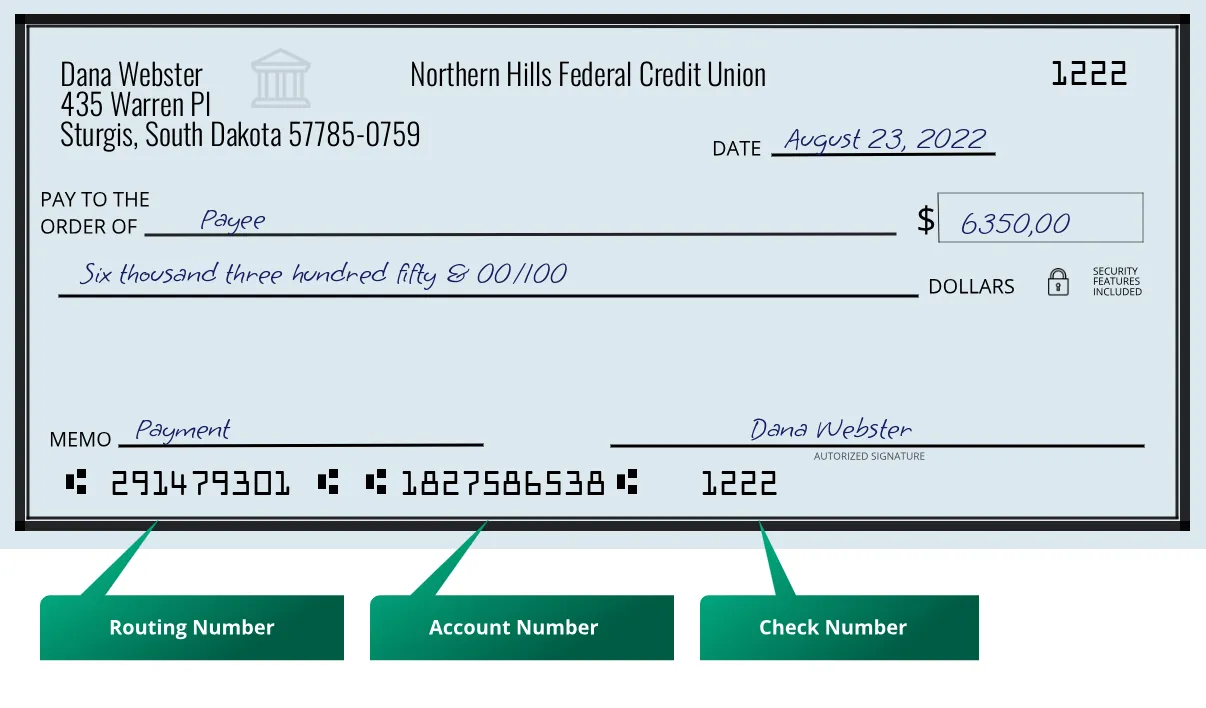 291479301 routing number Northern Hills Federal Credit Union Sturgis